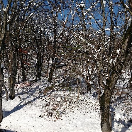 Myoko Kogen Pension Yamasan Ngoại thất bức ảnh