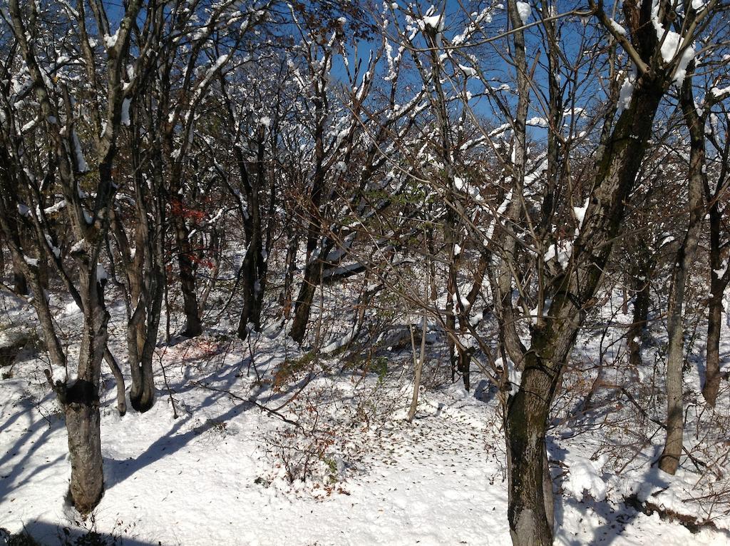 Myoko Kogen Pension Yamasan Ngoại thất bức ảnh