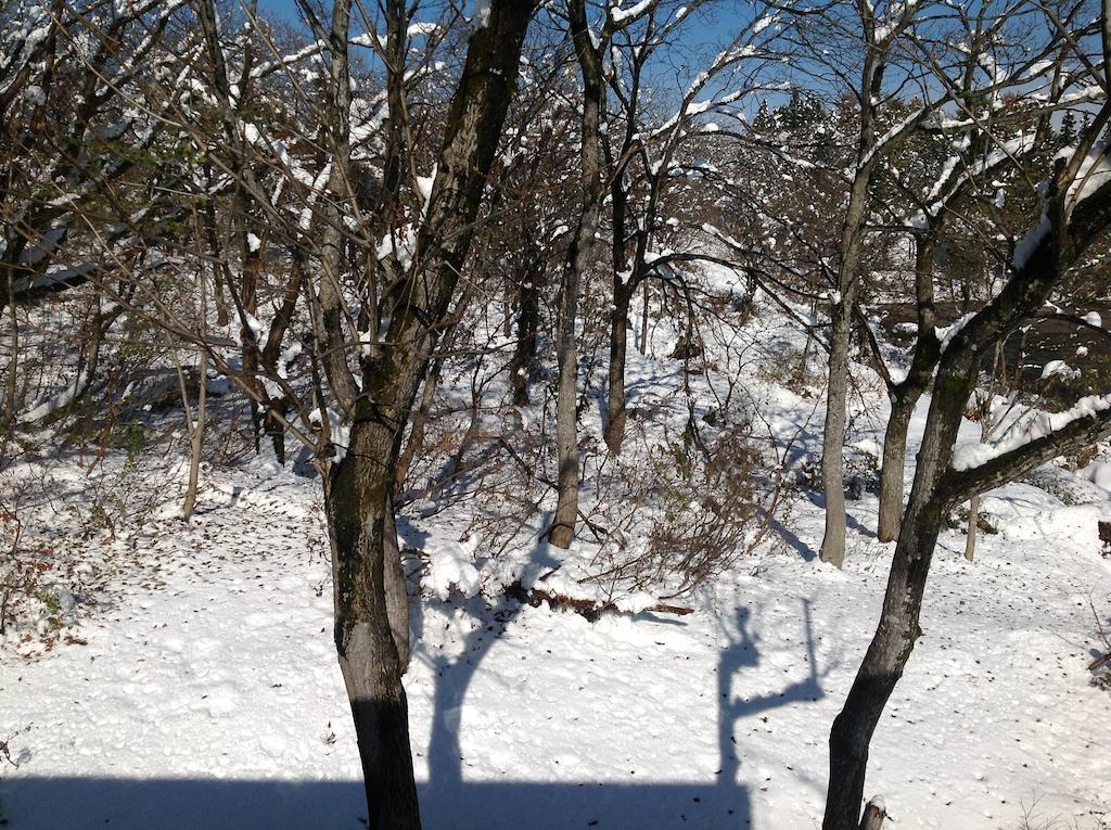 Myoko Kogen Pension Yamasan Ngoại thất bức ảnh